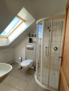 a bathroom with a shower and a toilet and a skylight at Bed & Breakfast - Shanakeever Farm in Clifden