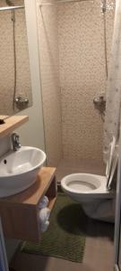 ベクレアンにあるPensiunea Abimarのバスルーム(白いトイレ、シンク付)