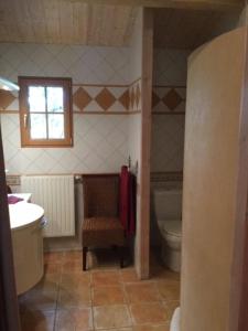 uma casa de banho com um WC, um lavatório e uma janela em Gîte les Iris Nalliers em Nalliers