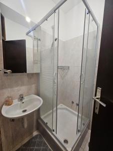 a bathroom with a glass shower and a sink at Fran in Novi Zagreb