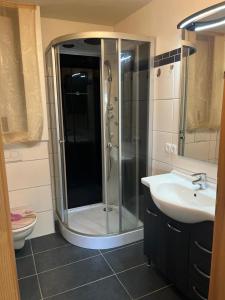 a bathroom with a shower and a sink at Ferienwohnung Rohrbacher Herz in Rohrbach in Oberösterreich