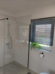 a bathroom with a shower and a glass shower stall at Ferienhaus Casa Neugrua in Stockheim