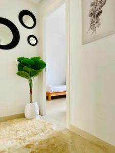 um quarto branco com um vaso com uma planta em Appartement Pied Dans L'eau ! em Beni Khiar