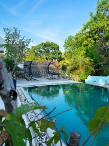 a swimming pool with benches in a garden at Fairy Cottage Kandy in Kandy