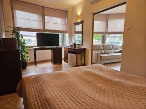 a bedroom with a bed and a television and a couch at Restauracja Hotel Przystan in Lublin