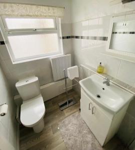 ein Bad mit einem WC, einem Waschbecken und einem Fenster in der Unterkunft Mount Pleasant Retreat in Troed-y-rhiw