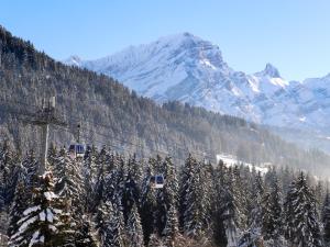 two gondolas on a ski lift in the mountains at Chalet Chalet Olivier by Interhome in Villars-sur-Ollon