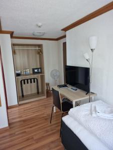 TV a/nebo společenská místnost v ubytování Hotel Alpha Thun