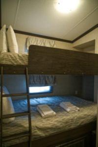 Litera con 2 almohadas encima en 3 Bedroom Waterfront Cottage 12, en Roseneath