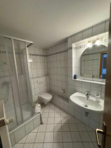 ein Bad mit einer Dusche, einem WC und einem Waschbecken in der Unterkunft Gasthaus Hecht in Orsingen-Nenzingen