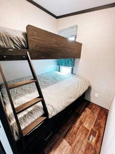 een slaapkamer met 2 stapelbedden en een ladder bij 3 Bedroom Cottage St. Andrews Lane 20 in Keene