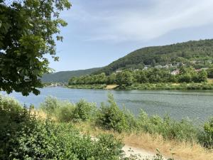 a view of a river with mountains in the background at Holiday Home Tiny Haus Christas Angler-Oase by Interhome in Riedenburg