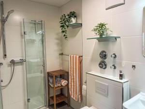 ein Bad mit einer Dusche und einem Waschbecken in der Unterkunft Apartment Auszeit by Interhome in Oy-Mittelberg