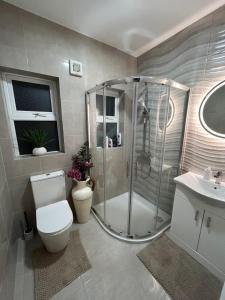 e bagno con doccia, servizi igienici e lavandino. di Cozy Getaway in Bunratty a Clarecastle