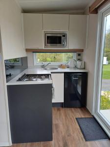 a small kitchen with a stove and a microwave at Luxury Pods at Mornest Caravan Park, Anglesey in Gaerwen