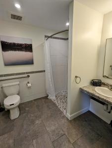 a bathroom with a shower and a toilet and a sink at Newly Renovated 2 Bedroom Beach Front Condo 3A in Lanark