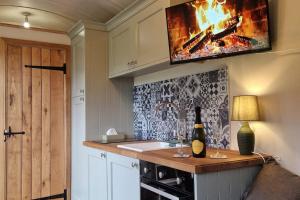 uma cozinha com um lavatório e um fogão com uma lareira em Cosy Owl - Shepherds Hut em Longford