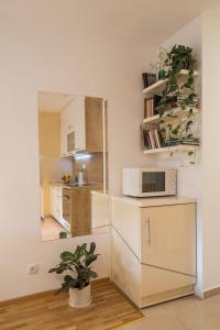 a kitchen with a mirror and a microwave at Cozy studio with a terrace near Slavija square in Sajmište