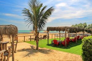 uma palmeira na praia com cadeiras e mesas em Bamboo Paracas Resort em Paracas