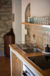 een keuken met een wastafel en een aanrecht bij Villa Millefoglie, a century-old stone house nestled in a nature park in Lupoglav