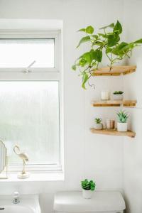 un baño con una ventana con plantas en los estantes en Serene Boho Retreat: White Oak Charm House 7ppl en Sheffield