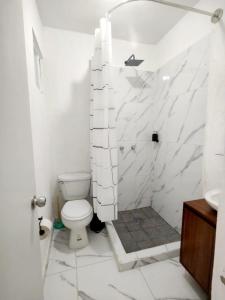 La salle de bains blanche est pourvue de toilettes et d'un lavabo. dans l'établissement Departamento en tulum Quintana roo, à Tulum