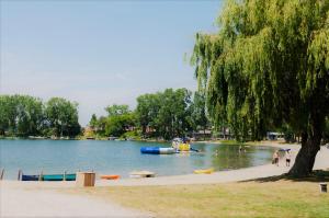 a park with a tree and a lake with boats at 3 Bedroom Cottage Beachview Lane 35 in Cherry Valley