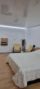 Ένα ή περισσότερα κρεβάτια σε δωμάτιο στο Roman Rezidence