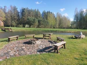 three picnic tables and a fire pit next to a pond at Poilsio namelis in Kaišiadorys