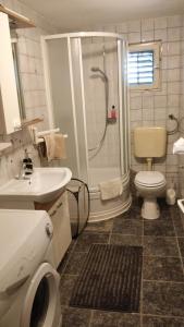 W łazience znajduje się prysznic, toaleta i umywalka. w obiekcie Apartment Lavinia w mieście Zadar