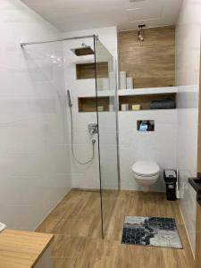a bathroom with a shower and a toilet at Hexagon Apartman Szeged in Szeged