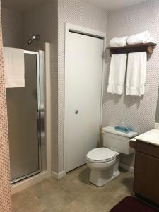 a bathroom with a toilet and a shower with towels at Jiminy Peak Mountain Resort in Hancock