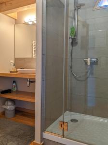 a shower with a glass door in a bathroom at Nid douillet in Annecy