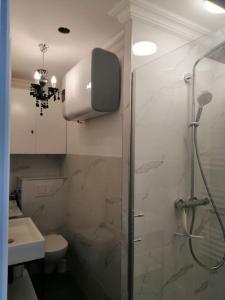 a bathroom with a shower and a toilet and a sink at Ferienwohnung mit traumhaften Meerblick in Großenbrode