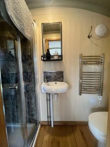a bathroom with a sink and a shower at Poppy in Rhayader