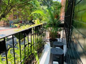 a balcony with two chairs and plants on it at Gaia in Medellín