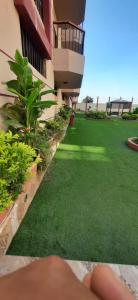 ein Gebäude mit einem Hof mit grünem Gras in der Unterkunft شقه رائعه بأفضل اطلاله in Luxor