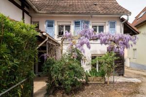 una casa con glicinas púrpuras a un lado en Le Gîte de Jade, en Dannemarie