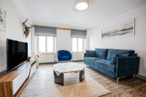 ein Wohnzimmer mit einem blauen Sofa und einem TV in der Unterkunft Le Gîte de Jade in Dannemarie