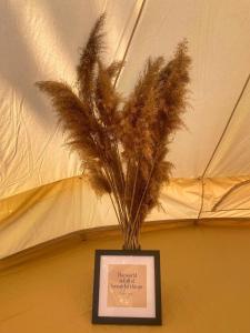 a picture of a plant in a frame in front of a tent at Delta Dunarii - Casa de langa apa in Ilganii de Sus
