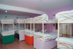 Rúm í herbergi á Gypsy Hostel & Backpackers