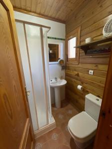 a bathroom with a toilet and a sink at Cabañas de Nerpio in Nerpio