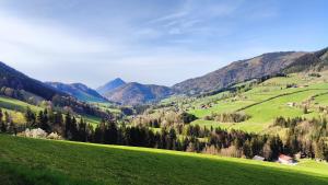 a green field with trees and mountains in the background at Schäferhütte in Krispl