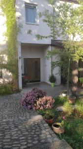 a house with some flowers in front of it at Apartment Lavinia in Zadar