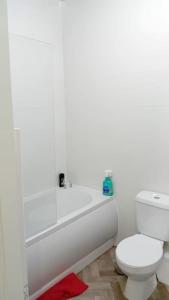 Ванная комната в Studio Flat 2 Nelson Town Centre