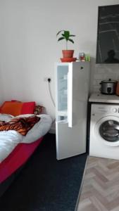 um quarto com um frigorífico e uma máquina de lavar roupa em Studio Flat 2 Nelson Town Centre em Nelson