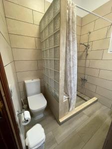 a bathroom with a toilet and a shower at Casa Don Daniel, Arona in Buzanada