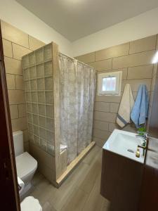 a bathroom with a shower and a sink and a toilet at Casa Don Daniel, Arona in Buzanada