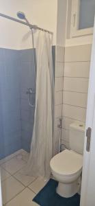 une salle de bain avec toilettes et rideau de douche dans l'établissement Apartment Fumba town/ zanzibar, à Dambani