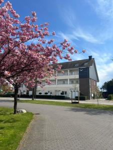 a tree with pink flowers in front of a building at Haus Meeresbrise in Grömitz